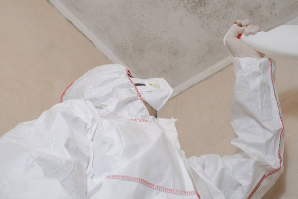 Crawl Space Mold Removal in Dalworthington Gardens, TX